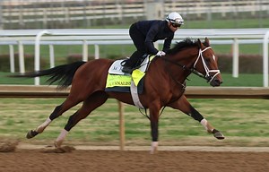 Analyzing the Kentucky Derby 2025 field: Favorites, contenders and long shots
