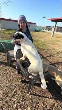 Spice girls - Baby, Posh & Jafar