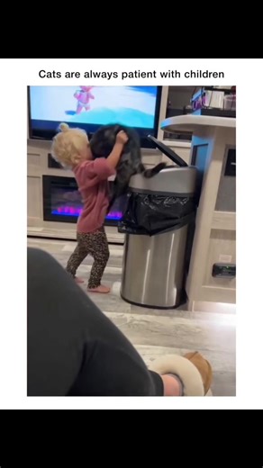 Tiny human meets tiny (or not-so-tiny) fluffball… and the cuteness level instantly goes through the roof. 🐱👶 There’s something so special about watching a baby and a cat figure each other out. The curious little hands, the gentle paw taps, the wide eyes full of wonder — it’s a whole new world for both of them. One is discovering soft fur for the first time, the other is trying to understand this tiny human with the unpredictable sounds and sudden giggles. Sometimes it’s cautious sniffing. Some