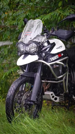 26K views · 986 reactions | Full Service Triumph Tiger xcx 800 #ป้ายยาRacing #TriumphMotorcycles #triumph #triumphtiger #triumphtiger800 | ป้ายยาRacing | Facebook