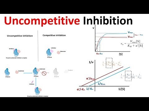 uncompetitive inhibition