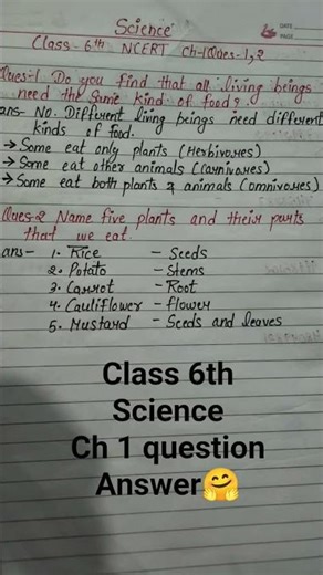 Class 6 Science Chapter 1 | Question Answer | NCERT Solutions #shortvideo #shorts
