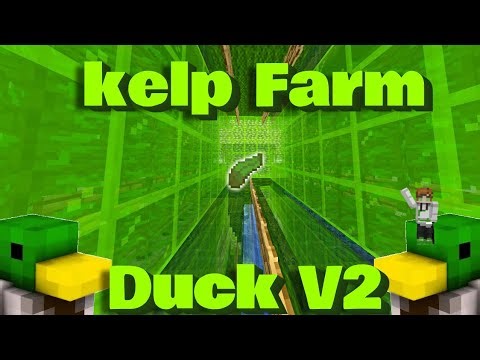 We Shrank the Farm! 🦆 Duck V2 vs V1 (Same Rates, Half the Space)