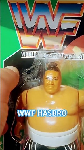 WWF HASBRO FIGURES