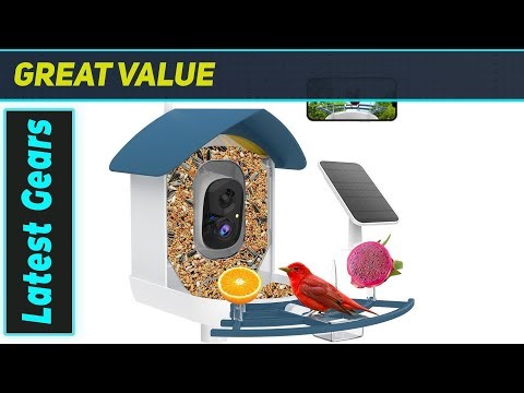 `Bird Feeder with Camera: The Ultimate Smart Bird Watching Solution