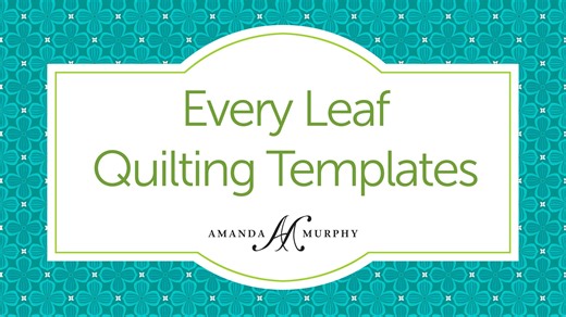 4.3K views · 39 reactions | How to use Amanda Murphy's Every Leaf Quilting Templates for Brewer Sewing! They are available for purchase at indepedent quilt shops or at Amanda's website: https://blog.amandamurphydesign.com/shop/ | Amanda Murphy Design | Facebook
