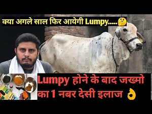क्या अगले साल फिर आयेगी Lumpy skin Disease 🤔LSD होने के बाद जखमो का 1 इलाज #sunilcowfarming