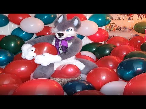 Popping lots of qualatex 16'' and tuftex17'' balloons