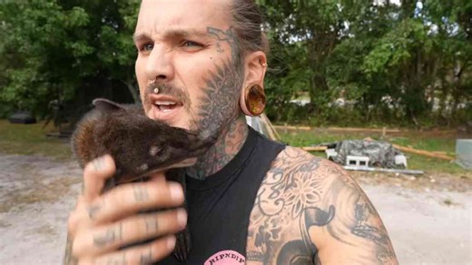 Why this cockatoo refused to follow the plan