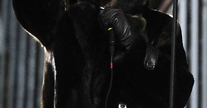 When Hip Hop Meets Football