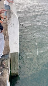 121K views · 634 reactions | Sound good bend rod #fishing #1m #highlights | Pinoy Australia | Facebook