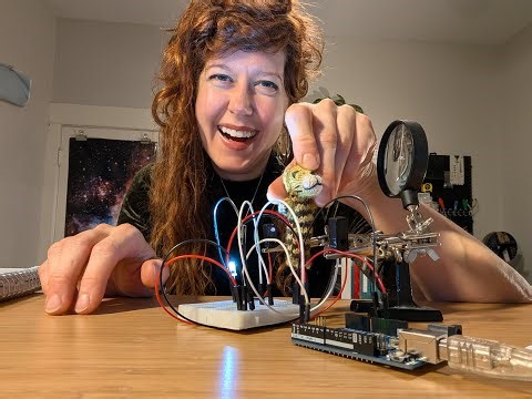 Coding Project for beginners: Use motion to trigger lights! (Part 1)