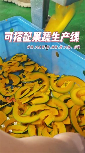 九盈机械单头切菜机连续南瓜切片，专用于果蔬加工，厚薄可调 Single-Head Vegetable Cutter – Continuous Pumpkin Slicing