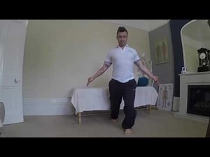 Anatomy in motion - Split stance sagital cogs