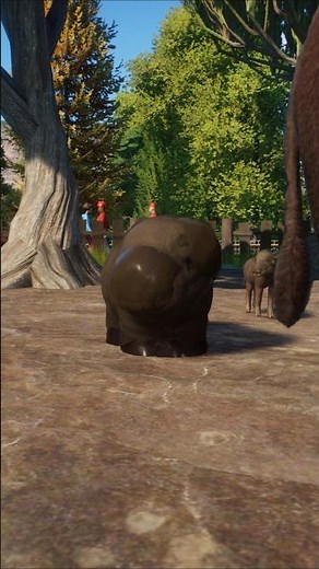 This Baby Animal Looks... Wrong 🐗🧸 (But It's Still Adorable)