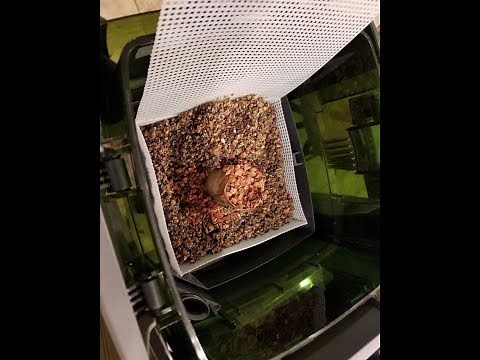 How to AFS BCB in canister filter the Lukeway - DIY way to get rid of nitrates