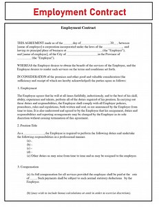Employment Contract Agreement - Employment Service Contract Template - HR Employer Employee Form Template - PDF File With Instant Download - Etsy Canada