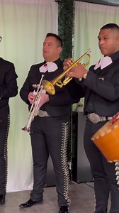 Domingo! #sunday El solo del Cascabel de nuestros trompetistas @luisdanielvargas_13 y @migueltrumpetmusic y en el violín@ayalasoulmusic .@mariachi_vargasdelosangeles Mariachi Vargas de Los Ángeles de Luis Vargas, Feliz Domingo para todos 🙏🏽Para contrataciones 📱 2136442516LOS ANGELES CALIFORNIA 🌴🌴🌴————————////—————————#viralmariachis #mariachivargasdelosangeles #mariachisparacualquierpartedelaciudad #mariachiparanovia #reelsmusica #facereels #MariachiViral #reelsfacebook #MariachiParaSerena