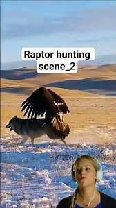 Raptor hunting scene_2