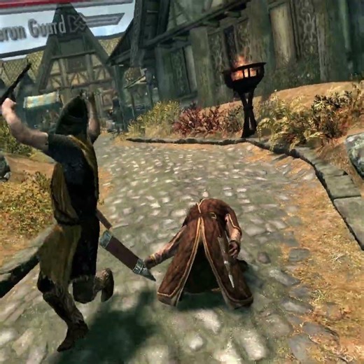 just to clarify I have nothing against redguards in whiterun, or the whole of tamriel. #skyrim #vr