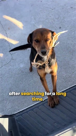 His Best Way To Say Thank You 🥺❤️