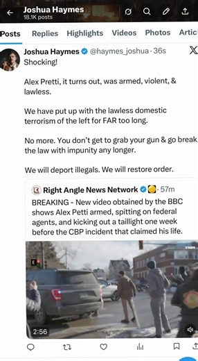 BREAKING: new footage obtained of Alex Pretti | alex falling