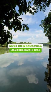 165K views · 1.7K reactions | The boardwalk trail at Ijams Nature Center is a respite in the middle of our city! This easy, one-mile hike offers pretty views of the Tennessee River. Best of all: it’s family and pet-friendly! | Visit Knoxville | Facebook