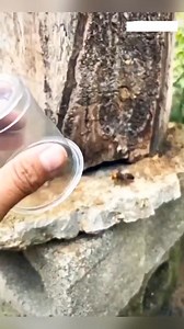 Interesting Facts in Hindi #factsinhindi #hindifacts #factdad #facts #amazingfacts #factvideo #interestingfacts #fact #unknownfacts | Fact DAD