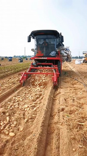 Multifunctional Harvester for Potatoes and Vegetables