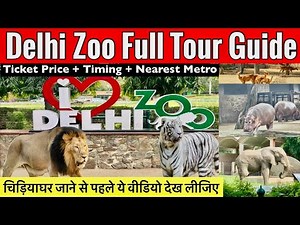 Delhi Zoo Full Tour | Delhi Zoo Ticket Price | Delhi Zoo Vlog | Delhi Zoo All Animals | Zoo Delhi