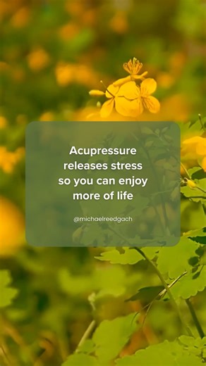 Life feels lighter when tension melts away. With just a few mindful presses, acupressure helps your body relax, your mind unwind, and your spirit feel free to enjoy the little moments that make life so sweet. ⭐️ Have you ever experienced the power of a acupressure? I invite you to share your story below. 👉 Follow @michaelreedgach for more acupressure healing wisdom ⭐️ Have you ever experienced the power of acupressure? I invite you to share your story below. | Acupressure Points