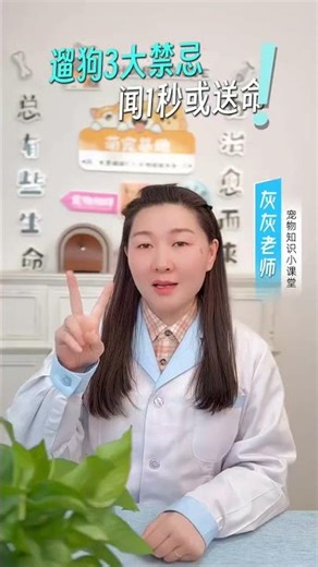 Never Let Your Dog Sniff Out Scams: Ultimate Pet Safety Guide