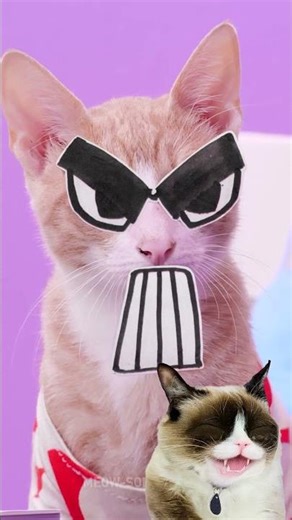 😻 Alphabet Lore Squishy Toys ASMR mixing by Kitty 🐾 #cat #funny #alphabet