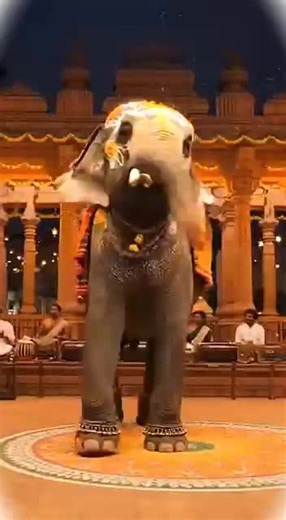 ashis (@ashis9094)’s videos with original sound - ashis