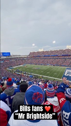 Buffalo Bills fans sing along to Mr Brightside #bills #nfl #shorts