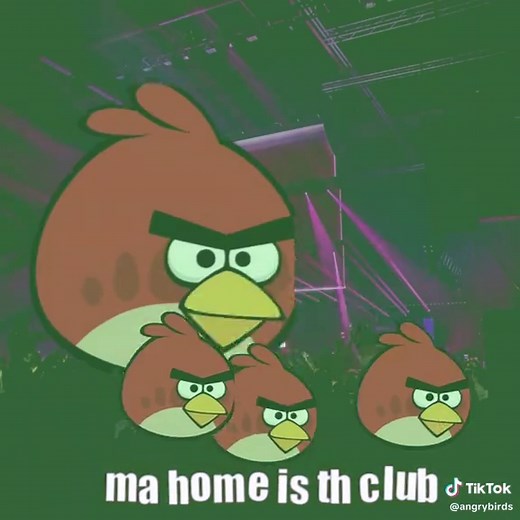 Angry Birds: Ultimate Game and Party Experience