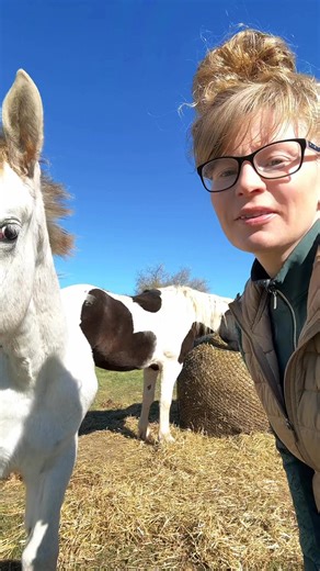 38K views · 2.9K reactions | Hanging Out With Lilo! | Free Spirit Equestrian | Facebook