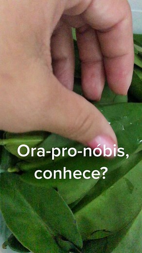 Explore Ora-pro-nóbis: A Nutrient-Rich Herb