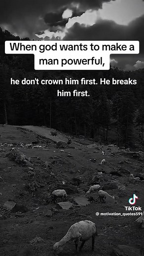 Michael Gross on Reels