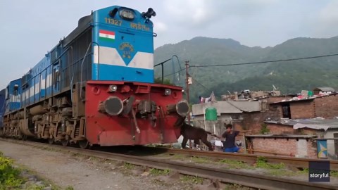Train Halts Just in Time to Dodge Donkey Collision