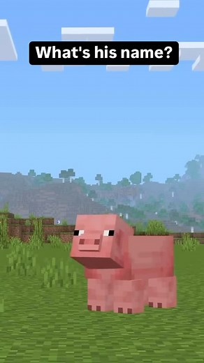 94K views · 1.1K reactions | What’s his name? #minecraft #speedrun #minecraftbuilds #goat #usa #fyp #viral | Minecrazy Mems | Facebook