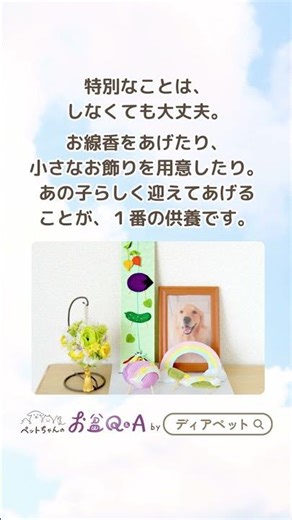 #01｜そもそもお盆って何？ペットのお盆、はじめてガイド #shorts #ペットロス