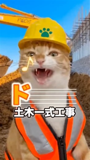 工事名じゃないのは？ドレミ歌 #工事 #土木 #ドレミ #茶トラ #ねこ #歌