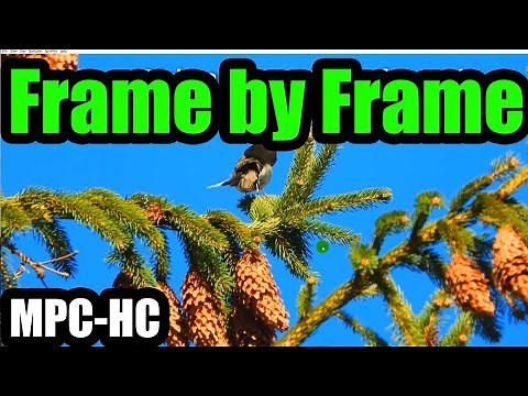 Watch video Frame by Frame (MPC-HC)