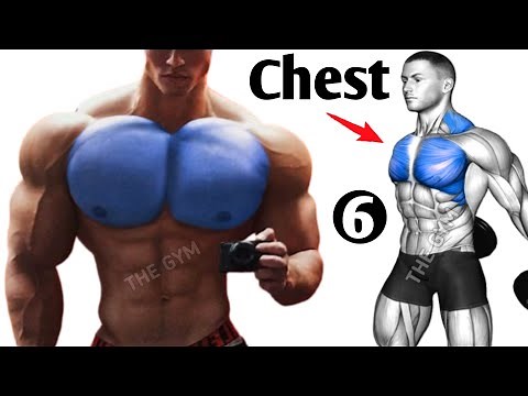 6 Effective Chest Exercises to Build a Bigger Chest Fast