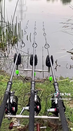 Carp Run Highlights: Exceptional Fishing Compilation