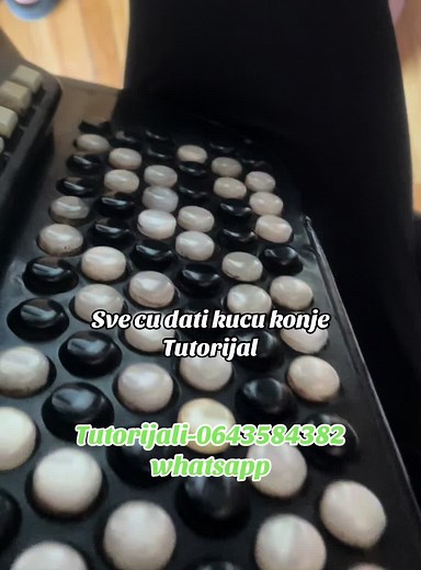 Tutorijal sviranja harmonike: Sve o muzici