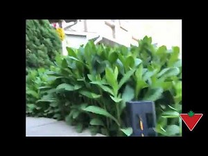 My product review: NOMA Solar Filament Bollard Light (Warm White)