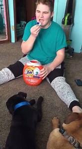 19M views · 211K reactions | Stop eating Tide Pods [Via ViralHog] | theCHIVE | Facebook