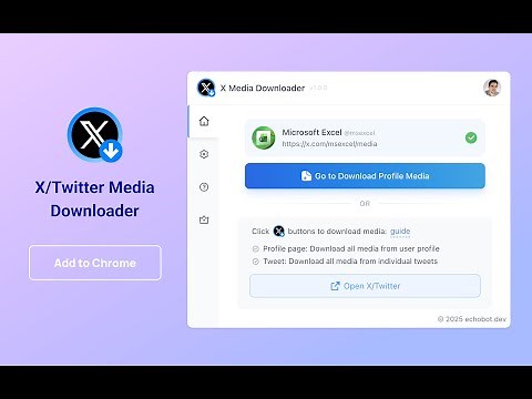How to bulk download images and videos from X/Twitter? (X Media Downloader)